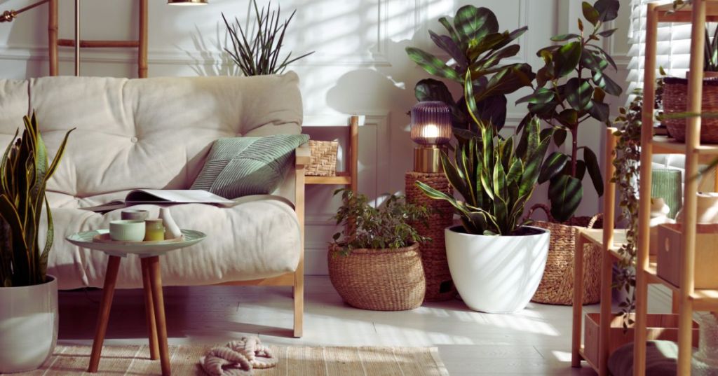 How Houseplants Boost Your Mood